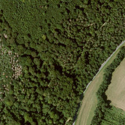Satellite imagery of Hainskopf, DE