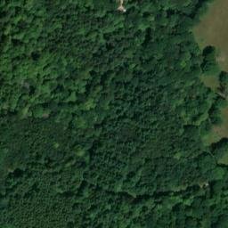 Satellite imagery of The Vyne, GB