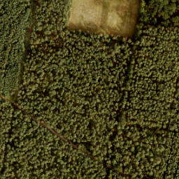 Satellite imagery of 197, NL