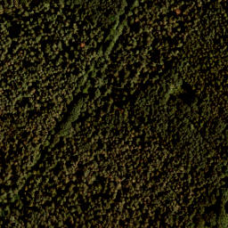 Satellite imagery of 438, NL