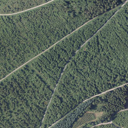 Satellite imagery of Hoher Ransen, DE