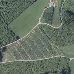 Satellite imagery of Triebel, DE