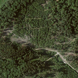 Satellite imagery of Jungfernkopf, DE