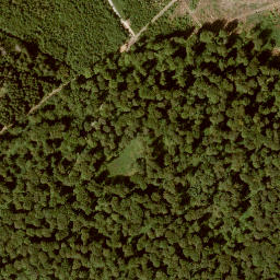 Satellite imagery of Hohes Gras, DE