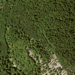 Satellite imagery of Hainskopf, DE