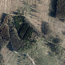 Satellite imagery of Höhberg, DE