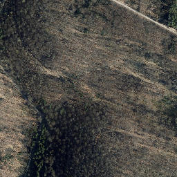 Satellite imagery of Kapelle, DE