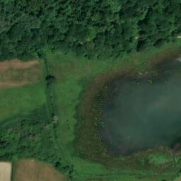 Satellite imagery of The Vyne, GB