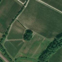 Satellite imagery of Boxley Abbey, GB