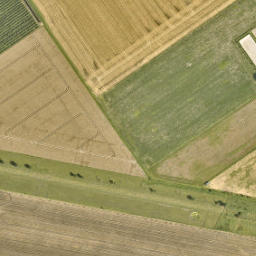 Satellite imagery of Gp 270, NL