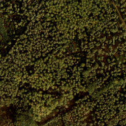 Satellite imagery of 197, NL