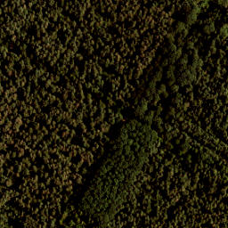 Satellite imagery of 438, NL
