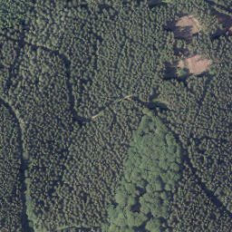 Satellite imagery of Dümberg, DE