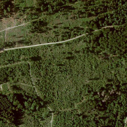 Satellite imagery of Widdehagen, DE