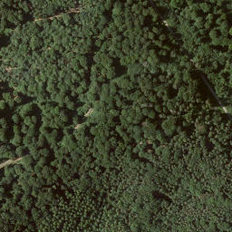 Satellite imagery of Geizienberg, DE