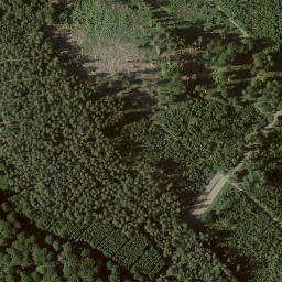Satellite imagery of Jungfernkopf, DE
