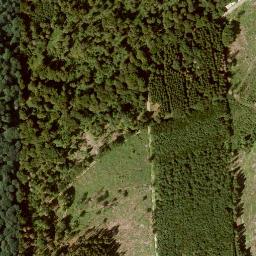 Satellite imagery of Hohes Gras, DE