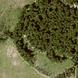 Satellite imagery of Hohes Gras, DE