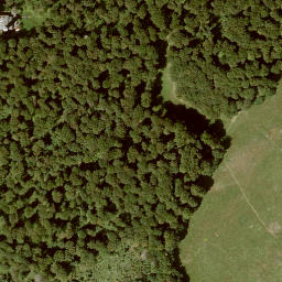 Satellite imagery of Hohes Gras, DE