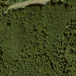 Satellite imagery of Mittelberg, DE