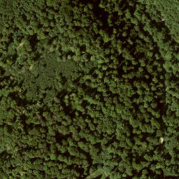 Satellite imagery of Mittelberg, DE