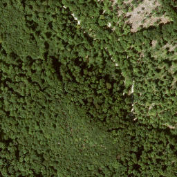 Satellite imagery of Mittelberg, DE