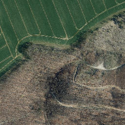 Satellite imagery of Bornberg, DE