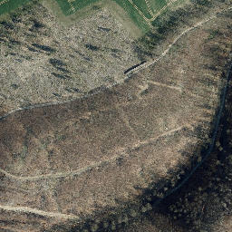 Satellite imagery of Bornberg, DE