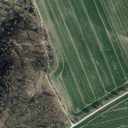 Satellite imagery of Bornberg, DE