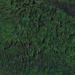 Satellite imagery of Mittelberg, DE
