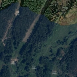 Satelita
