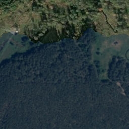 Satelita