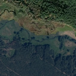 Satelita