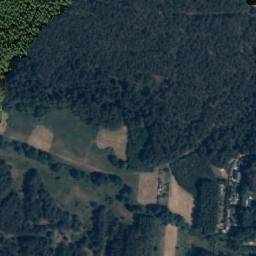 Satelita