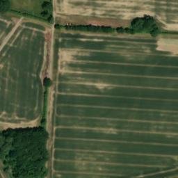 Satellite imagery of The Vyne, GB