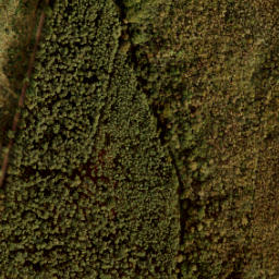 Satellite imagery of 197, NL