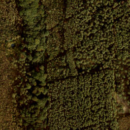 Satellite imagery of 197, NL