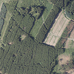 Satellite imagery of Dümberg, DE