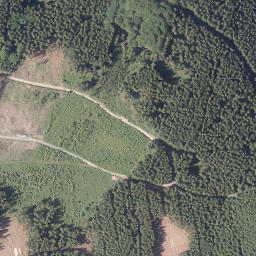 Satellite imagery of Dümberg, DE