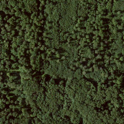 Satellite imagery of Wattenberg, DE