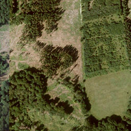 Satellite imagery of Hohes Gras, DE