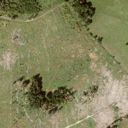 Satellite imagery of Hohes Gras, DE