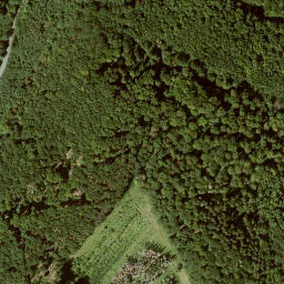 Satellite imagery of Ellerstein, DE