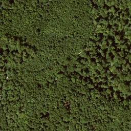 Satellite imagery of Mittelberg, DE