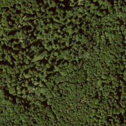 Satellite imagery of Mittelberg, DE