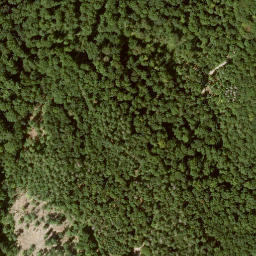 Satellite imagery of Mittelberg, DE