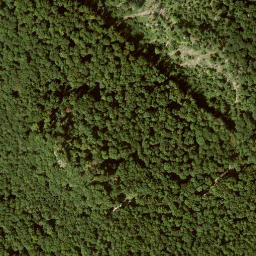 Satellite imagery of Schnellerskopf, DE