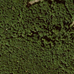 Satellite imagery of Schnellerskopf, DE