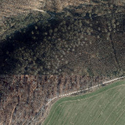 Satellite imagery of Bornberg, DE