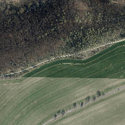 Satellite imagery of Bornberg, DE